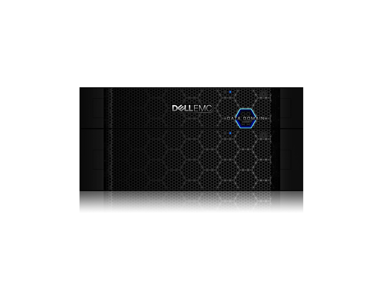 Система хранения данных Dell EMC Data Domain DD6300